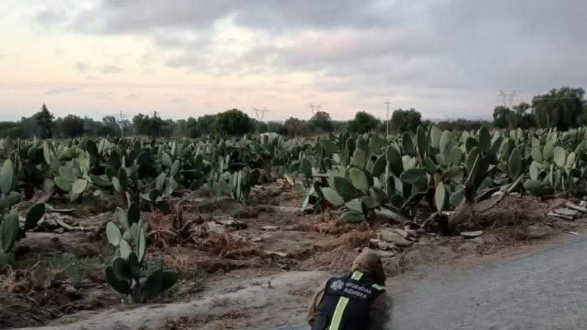 Proyecto nuevo